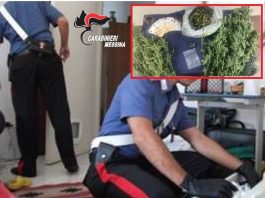 Arrestato 41enne trovato con piante di cannabis e marijuana