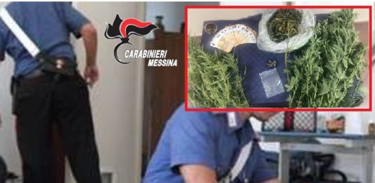 Arrestato 41enne trovato con piante di cannabis e marijuana