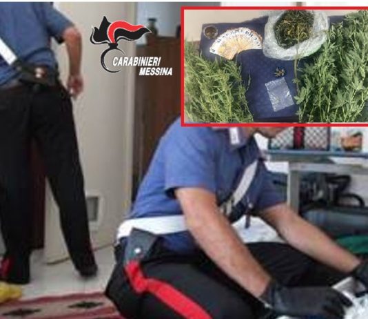 Arrestato 41enne trovato con piante di cannabis e marijuana