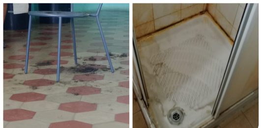 A “Fratelli tutti” le pulizie le fanno gli ospiti e i condizionatori sono spenti: la denuncia di Palmira Mancuso (Più Europa), “cosa fa MSC con i nostri soldi”?