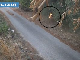 Tentato incendio a Gioiosa Marea: arresti domiciliari per un 35enne pattese