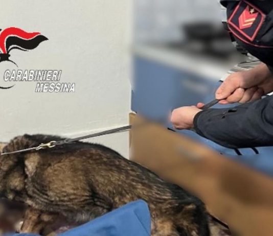 Blitz antidroga alle Isole Eolie: hashish nascosto all’interno delle prese della corrente elettrica