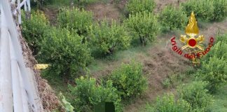 Pace del Mela piange Mariarosa Cavò vittima di un incidente mortale, come il nipote a giugno