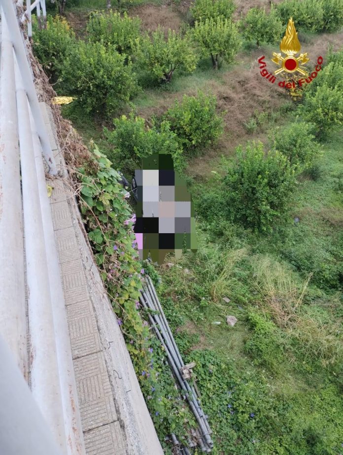 WhatsApp Image 2025-10-28 at 10.26.19