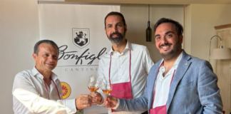 Nuovo ingresso in Sud Chiama Nord, Antonio Bonfiglio presidente del Gal