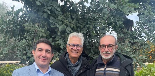 Azione a sostegno della candidatura a Sindaco di Lorenzo Italiano