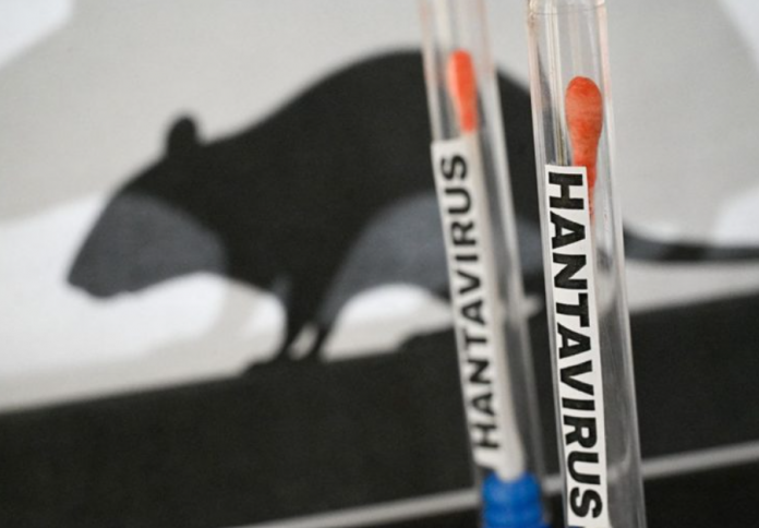 hantavirus