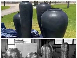 Fontana Ferma, l’arte contemporanea e il muro del provincialismo di Messina