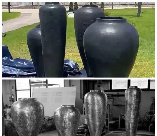 Fontana Ferma, l’arte contemporanea e il muro del provincialismo di Messina