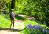 “Passeggiando nel Bosco”: il 12 settembre iniziativa di Orizzonte Comune