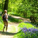 “Passeggiando nel Bosco”: il 12 settembre iniziativa di Orizzonte Comune