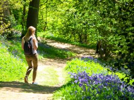 “Passeggiando nel Bosco”: il 12 settembre iniziativa di Orizzonte Comune