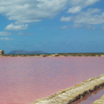 Saline di Sicilia verso il riconoscimento Unesco, Schifani e Savarino: «Regione sostiene la candidatura»